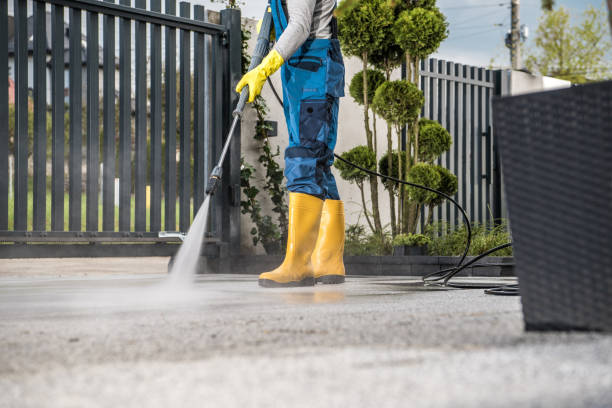 Best Pressure Washing Siding  in Avilla, IN