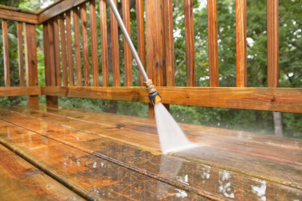 Best Roof Pressure Washing  in Avilla, IN