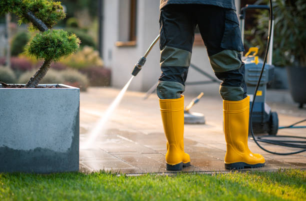 Best Local Pressure Washing Services  in Avilla, IN